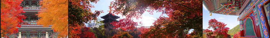 koyophoto02.jpg