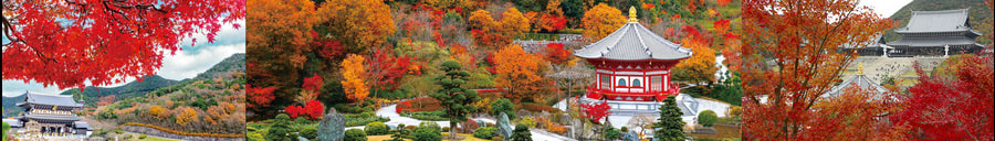 koyophoto04.jpg